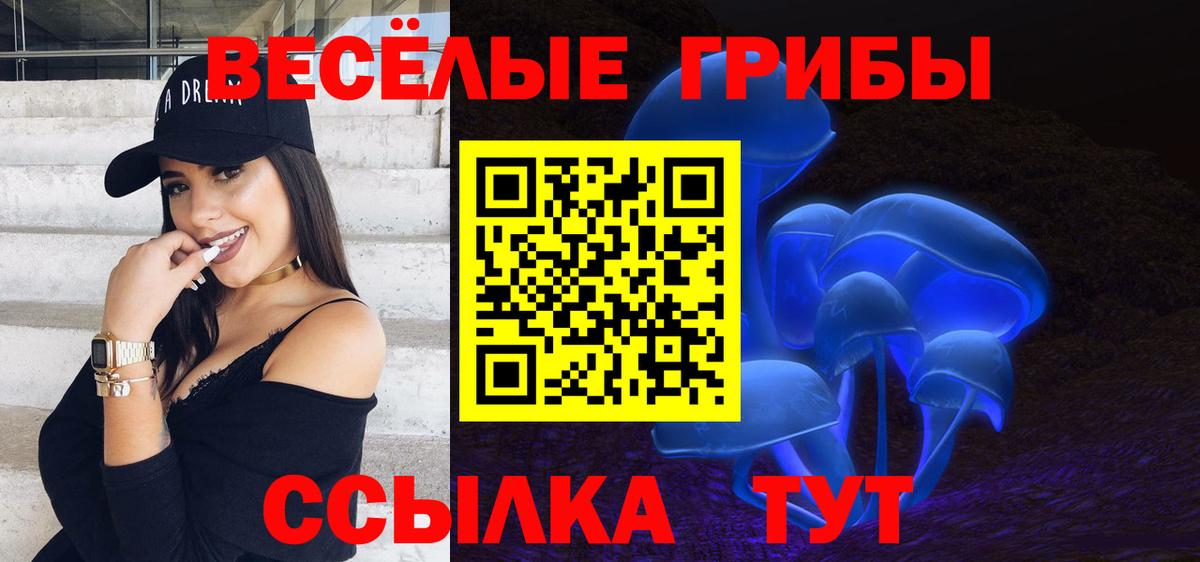 Галлюциногенные грибы Magic Shrooms  Вход с VPN  Псилоцибиновые грибы Psilocybe  Щёлково 